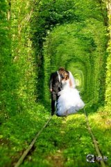 Tunnel Of Love Pics